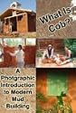 What Is Cob? A Photographic Introduction to Modern Mud Building