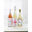 Mdrn Fest Labels-
