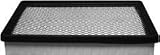 Hastings AF1250 Panel Air Element
