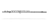 Gemeinhardt 2SP Flute Outfit SP