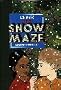 Snow Maze