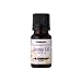 �ѥʥ��˥å� EH-SA90���ѥ����ޥ��������10mL�˿�����٥���� EH-4S01