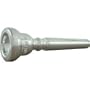 Schilke Standard Series Trumpet Mouthpiece in Silver Group II (24 Silver)