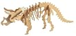Triceratops Woodkit
