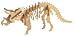 Search : Triceratops Woodkit
