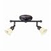 DVI DVP9782-ORB-C Buenos Aires 2 light Track Lighting Kit, Oil Rubbed