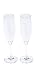 6x Premium Champagne Flute Polycarbonate looks like real glass but unbreakable Plastic. Ideal for Picnics outdoor pool, bbq, garden. washable and reusable. Dishwasher safe