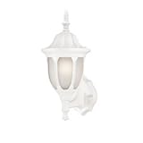 Westinghouse 66828 66828 Standard Wall Light Fixture