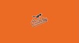 Baltimore Orioles Pool Table Billiard Cloth