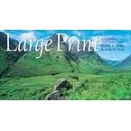Large Print 2010 Scenic Pocket Planner