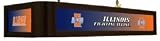 Illinois Fighting Illini Executive Billiard Table Light