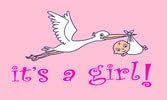 New 3x5 It's a Girl Flag 3 x 5 Newborn Baby Banner