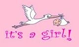 It's a Girl Flag 3'x5' Polyester Flag
