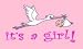 New 3x5 It's a Girl Flag 3 x 5 Newborn Baby Banner