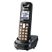 Panasonic Dect 6.0 Additional Digital Cordless Black Handset (KX-TGA641T)