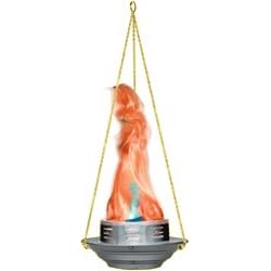 Chauvet Bob - The Flame Light by 