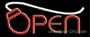 Computer Store Open Outdoor Neon Sign 13 x 32