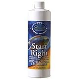 Start Right - Liquid - 16 oz.