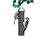 Perky Pet Sunflower Seed Peanut Feeder