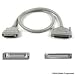 Belkin  Ext SCSI Double Shielded Hd50m/hd68m with thumbscrews - 10ft