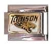Towson Tigers Charm NCAA College Athletics Fan Shop Sports Team Merchandise