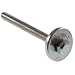 Assenmacher (ASS6700-1) Tensioner Bolt and Washer