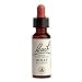 vitamin_b122vitamin b1 - Bach Essence Holly 20 Milliliters