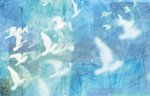 Effective Life Skills -- Songs of the Sea for Sleep, Audio Cassette, (Guided Imagery and Meditations from the Seashore for Stress Reduction and Progessive Relaxation to Sleep) (Calms Body & Mind to Cope with Stress, Depression, Worry, and Anxiety; Insomnia; Sleep Problems: Tools for Improving Sleep)