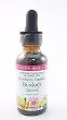 Burdock-Strawberry No Alcohol Glycerite - 1 oz - Liquid