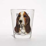 Basset Hound