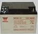 1 Of Yuasa Np38 12 38 Ah 12v Sealed Lead Acid
