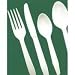 Dispoz-o Products GH1001 Biodegradable Enviroware Heavy-Weight Plastic Forks, Full Size (DZOGH1001) Category: Plastic Forks