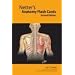 Netter's Anatomy Flash Cards: With STUDENT CONSULT Online Access (Netter Basic Science)