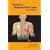 Netter's Anatomy Flash Cards: With STUDENT CONSULT Online Access (Netter Basic Science)