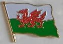 Country Flag Enamel Pin Badge - Wales