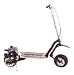 Go-Ped GTR Roadster Gas Powered Full Suspension Off Road Scooter
