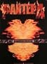 Pantera - Reinventing The Steel - Poster 19"X25"
