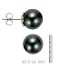 14k Gold,10.5-11mm Black Tahitian South Sea Pearl Stud Earring