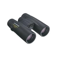 Olympus 8x42 EXWPI Fernglas mit Tasche