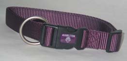 Adjustable Dog Collar, Purple, 3/8x7-12in