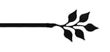 New - Leaf Curtain Rod by Village Wrought Iron Inc