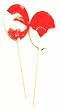 Sugar Free Peppermint Lollipops, 1lb, Individually Wrapped, about 50/lb