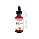 Eclectic Institute Inc Wild Indigo
