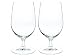 Riedel Ouverture Crystal Water Glasses Set of 2