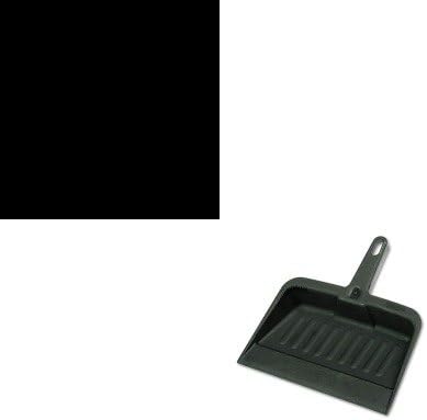 KITDRA2900504CTRCP2005CHA - Value Kit - Fantastik All-Purpose Cleaner (DRA2900504CT) and Rubbermaid-Chrome Heavy Duty Dust Pan (RCP2005CHA)