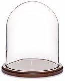 Glass Doll Dome with Walnut Base - 8