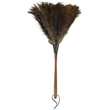 Casabella 67202 EZ Dust it 20-Inch Ostrich Feather Duster, Wood