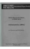 British Museum expedition to Middle Egypt, Ashmunein (1984)