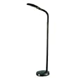 Grandrich ES-101 BLK Black 27-Watt Full Spectrum Floor Lamp