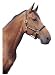 Halter, Monaco, leather - Pony black-black